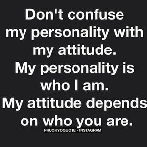 Meet your Posher, Attique